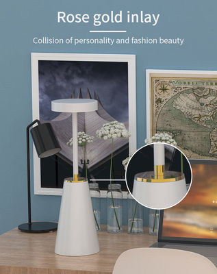 タッチスイッチ メタルナイトライト スマート LEDライト装飾のためのテーブルランプ