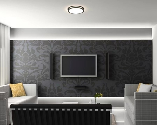 寿命時間 50000 12インチ 15W 5CCT プラスチックカバー LED ダブルリング 天井ライト CL-B1215