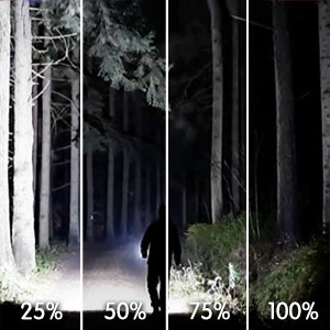 緊急メンテナンスの検査 2600 ルメン LED 機内照明 検査照明